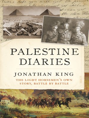 cover image of Palestine Diaries